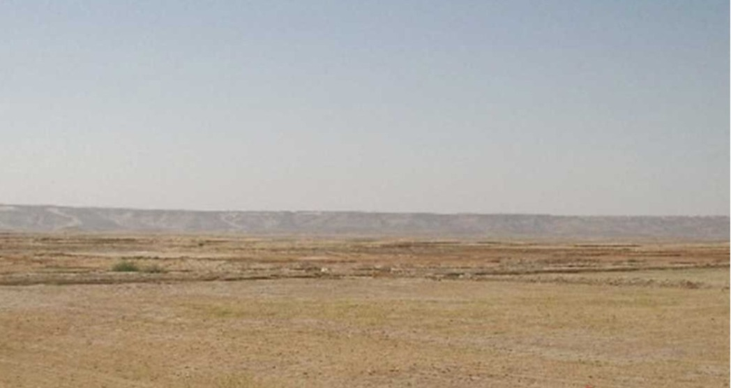فرصة ذهبية! أرض للبيع أو الاستثمار في مصفح...